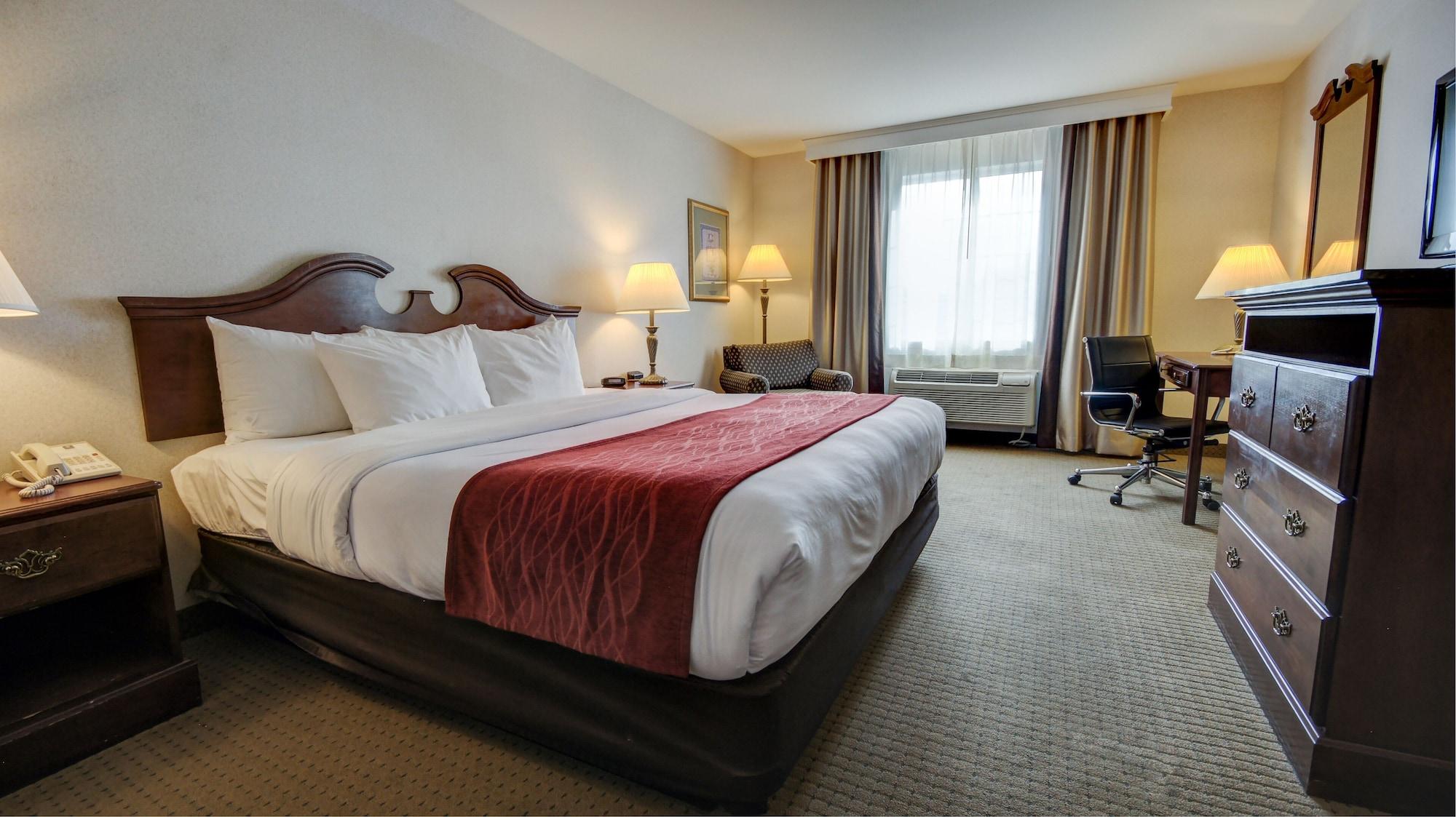 Comfort Inn & Suites East Greenbush - Albany Zewnętrze zdjęcie