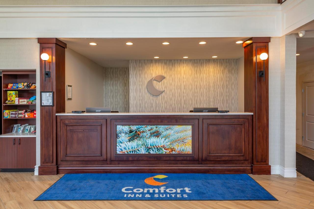 Comfort Inn & Suites East Greenbush - Albany Zewnętrze zdjęcie