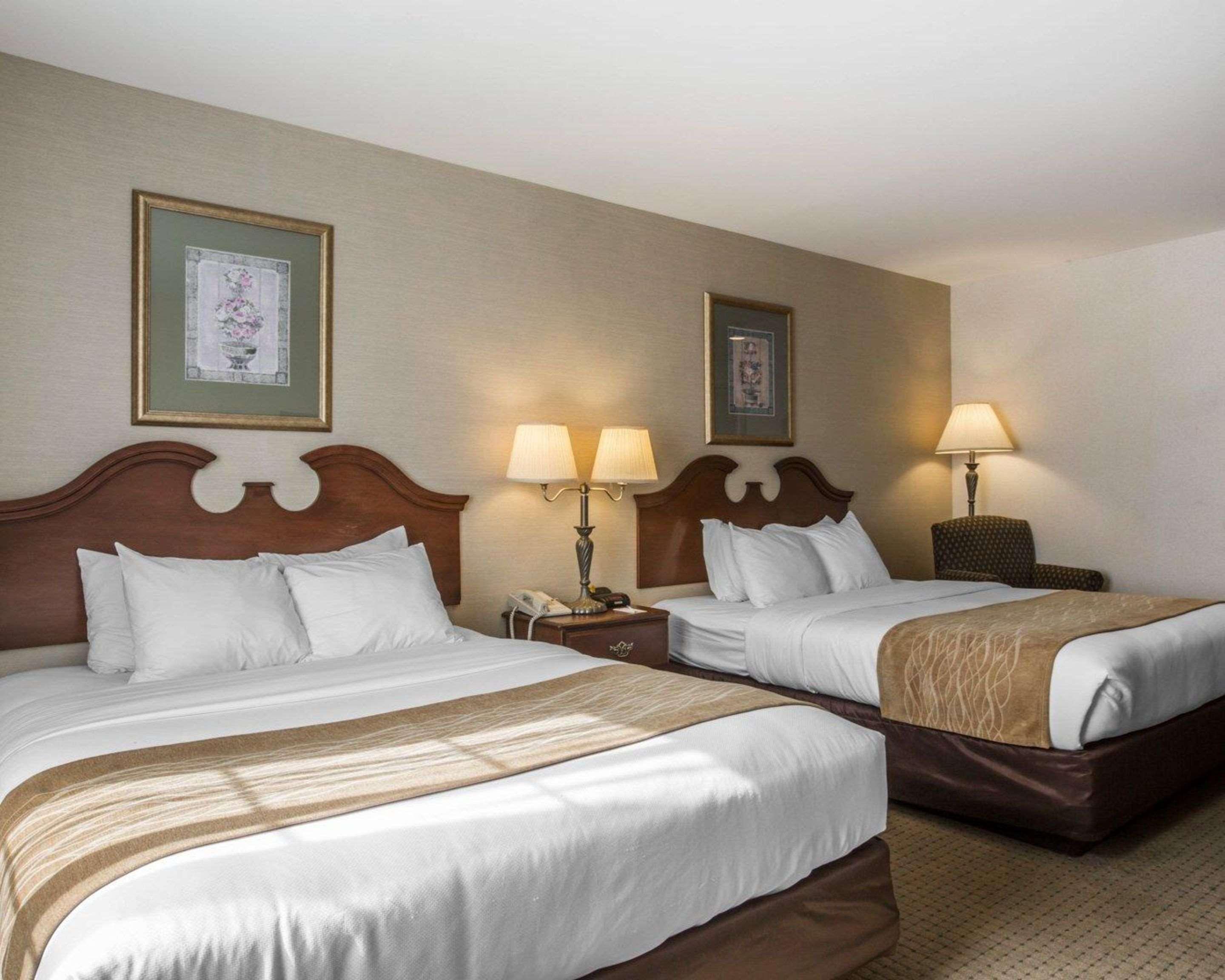 Comfort Inn & Suites East Greenbush - Albany Zewnętrze zdjęcie